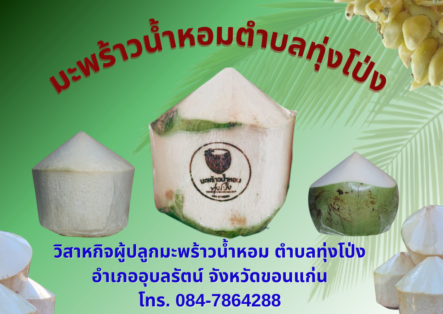 5fc4b9ee87-maphraw-nahxm-tabl-thung-pong-2.png